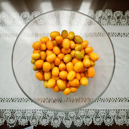 דירה Castle View House *