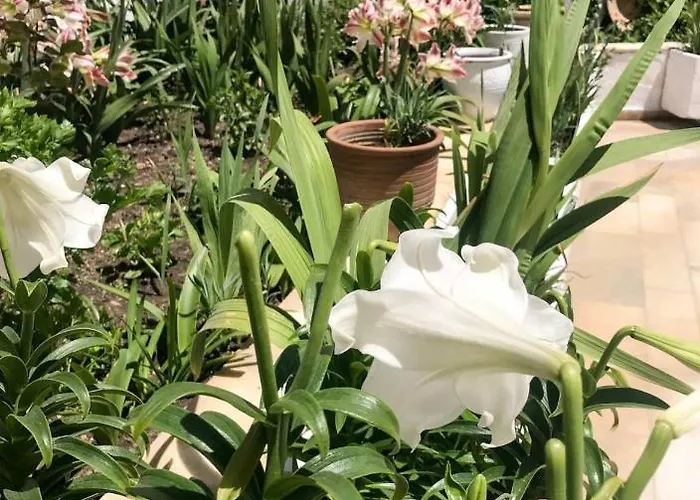 Castle View House Naxos City