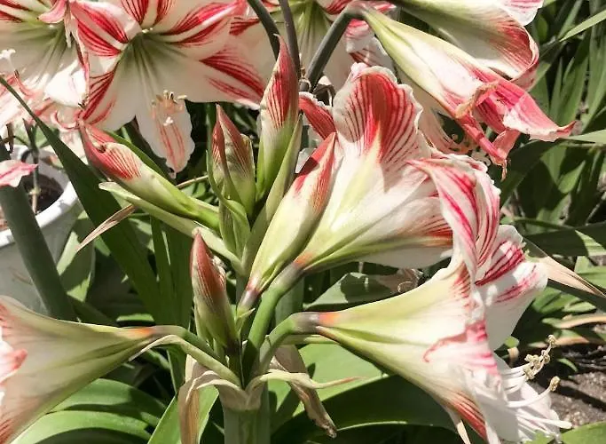 アパート Castle View House *